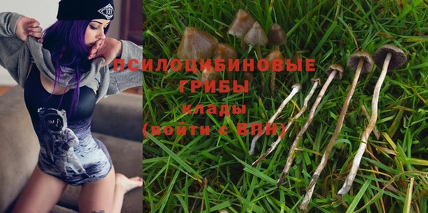каннабис Каменногорск