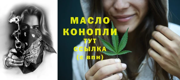 молекула духа Каменка