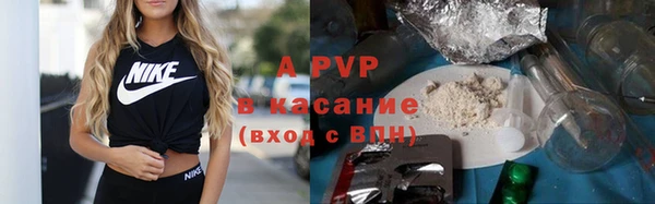 молекула духа Каменка
