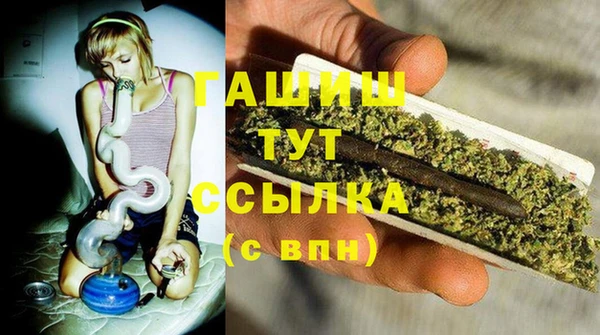 молекула духа Каменка