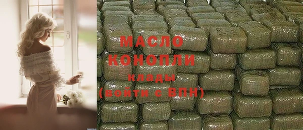 молекула духа Каменка