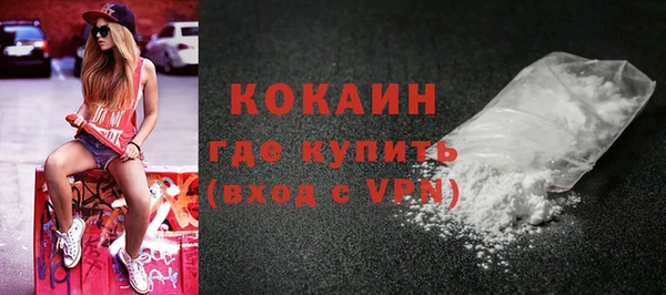 молекула духа Каменка