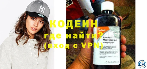 молекула духа Каменка