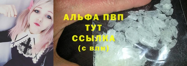 молекула духа Каменка